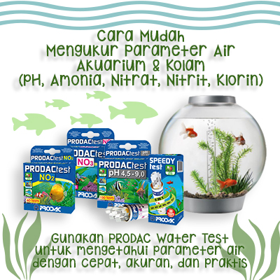 Promo Promo Alat Ukur Kualitas Air Strip Test Aquarium Ph Nitrit