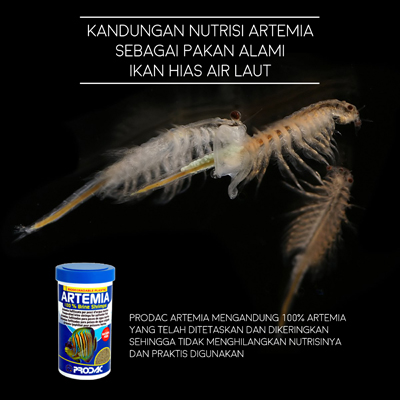 66+ Ikan Air Laut Vitamin HD